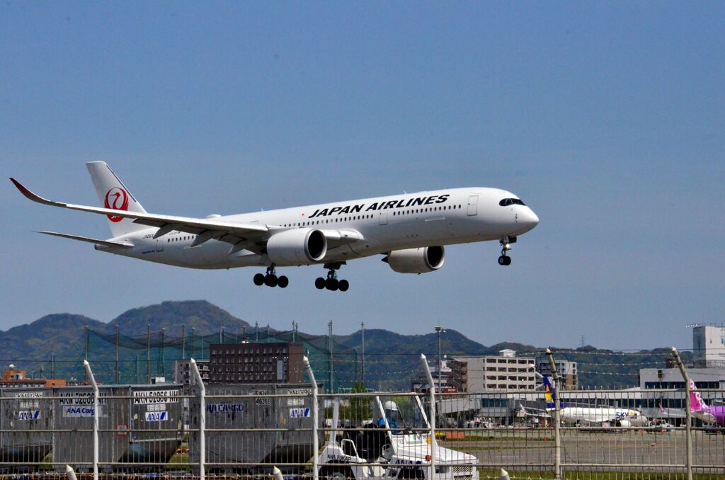 JAL 95