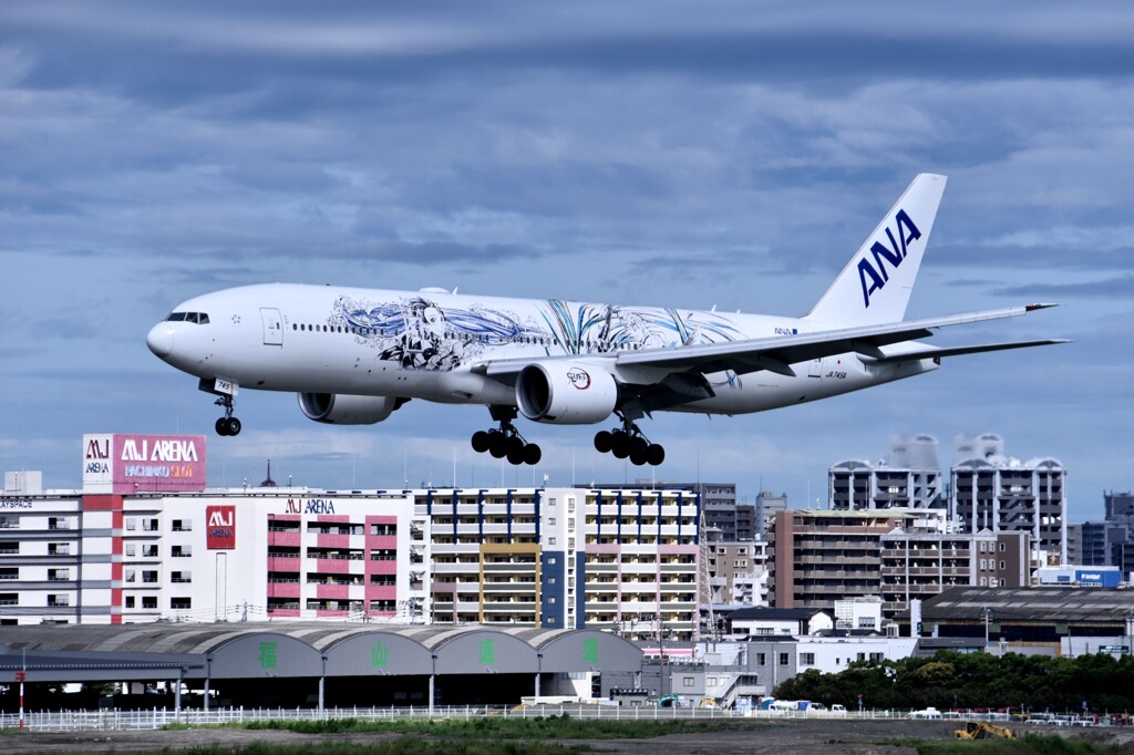ANA 876