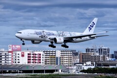 ANA 876