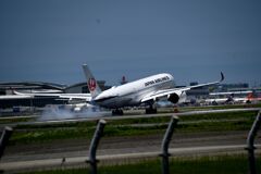 JAL 1304