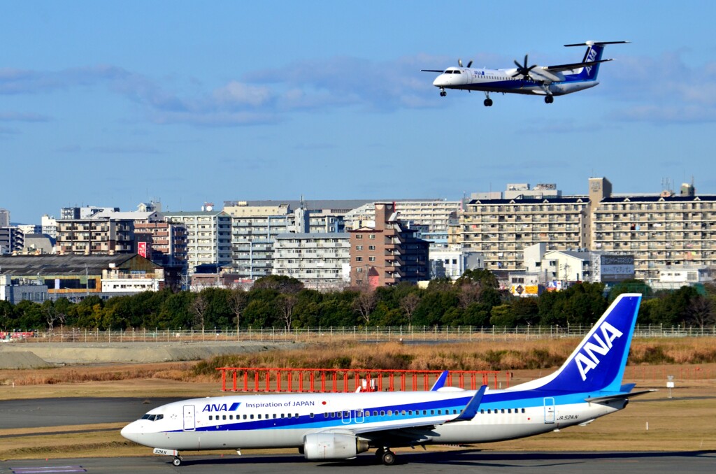 ANA 417