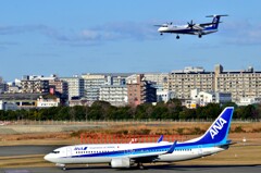 ANA 417