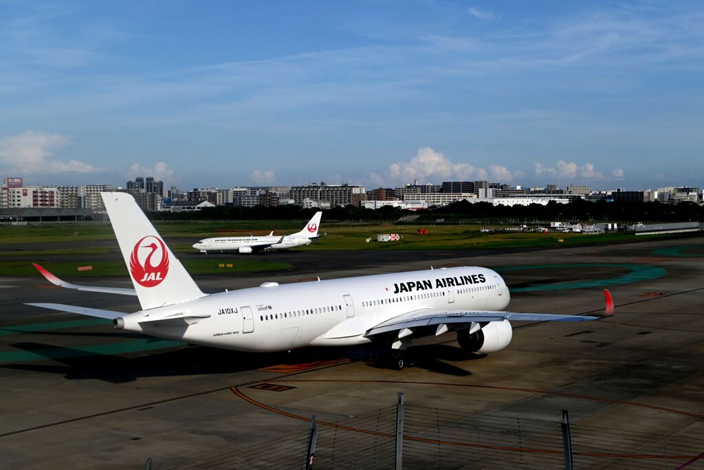 JAL 1338