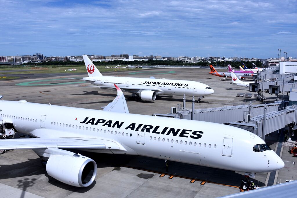 JAL 739