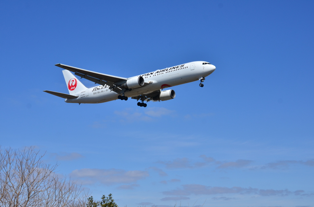 JAL 559