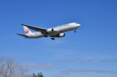 JAL 559
