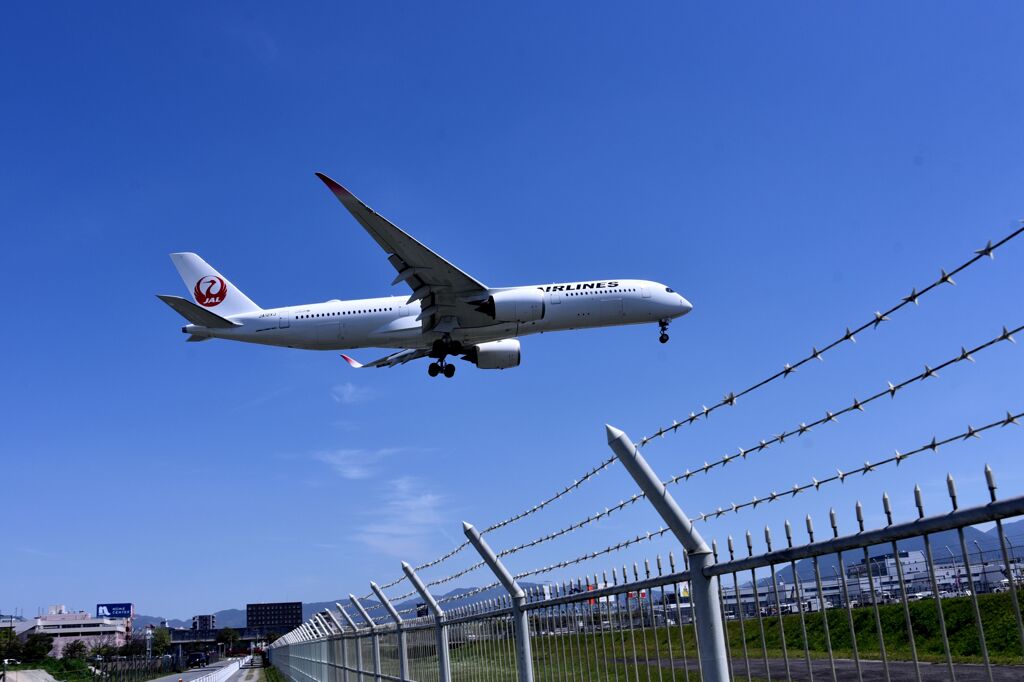JAL 918