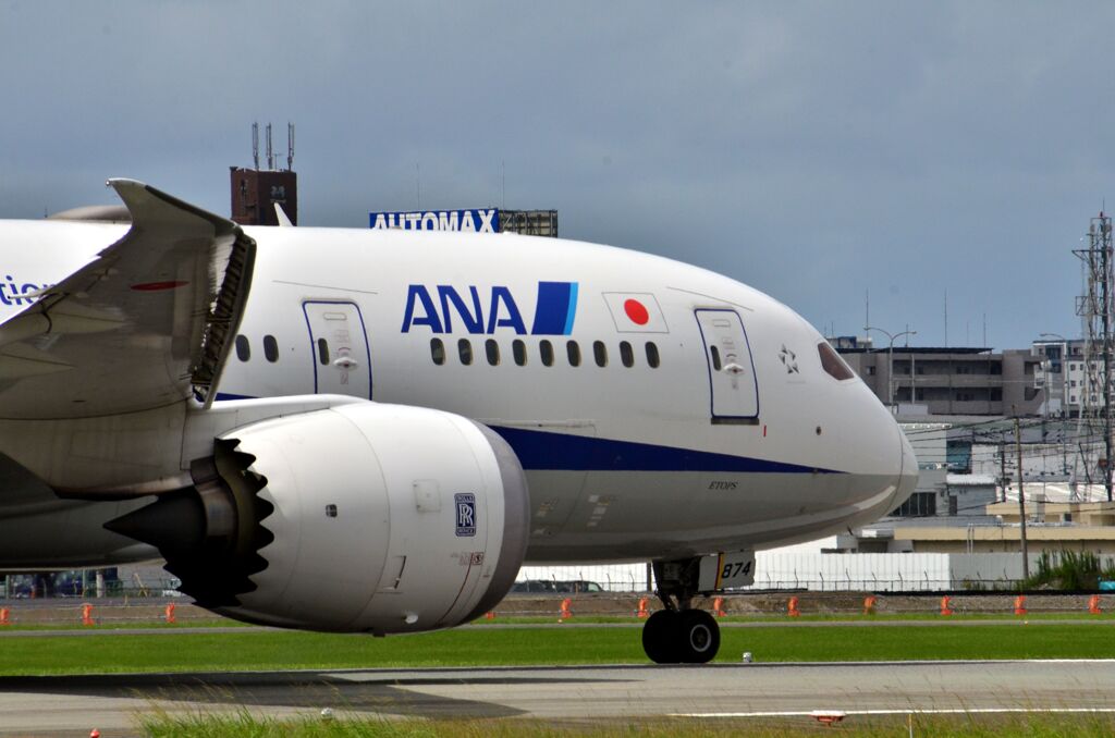 ANA 807