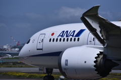 ANA 896