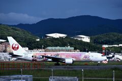 JAL 1036