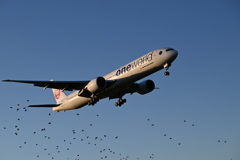 JAL 1318