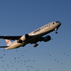 JAL 1318