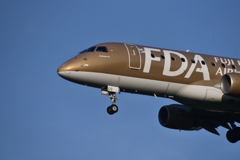 FDA 262