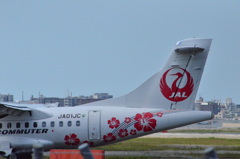 JAL 117