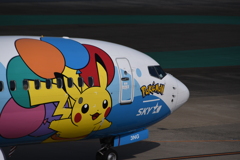 SKY 312