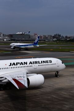 JAL 1176     Airbus A350