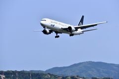 ANA 519