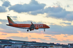 FDA 147