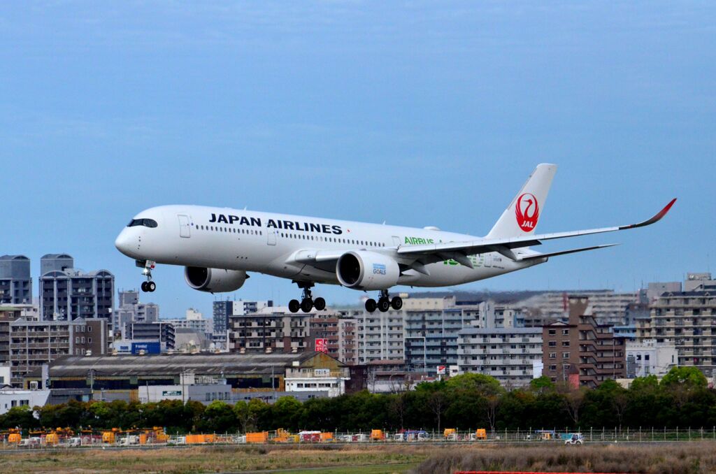 JAL 161