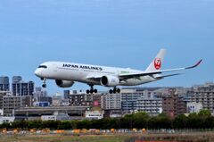 JAL 161