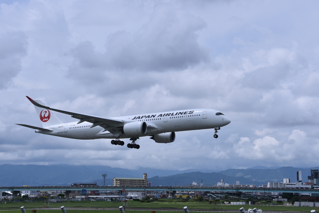 JAL 659