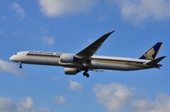 NO 86  　Singapore  airlines 