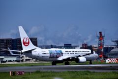 JAL 1162