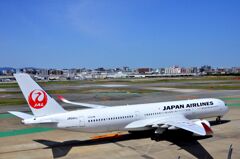 JAL 239