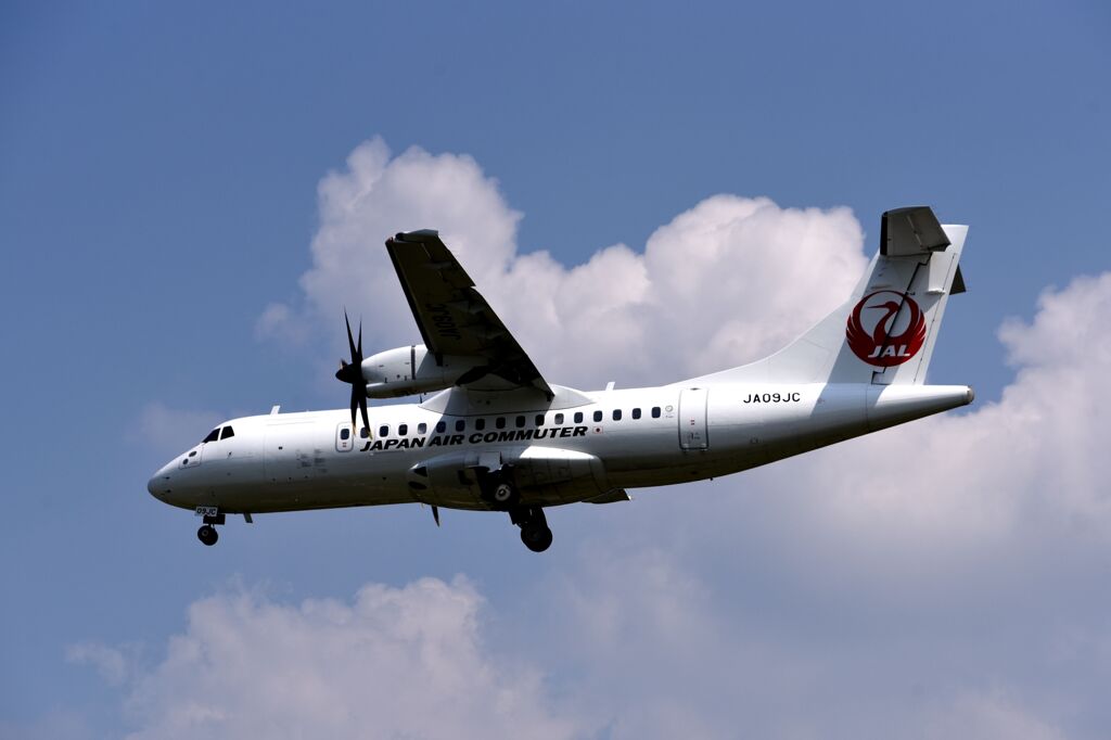 JAL1291