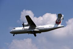 JAL1291