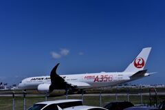 JAL 1330