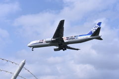 ANA 564