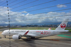 A350  JAL 07