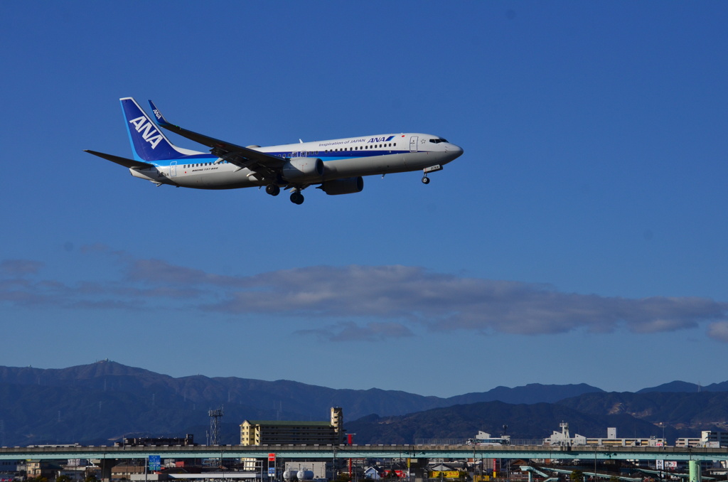 ANA 488