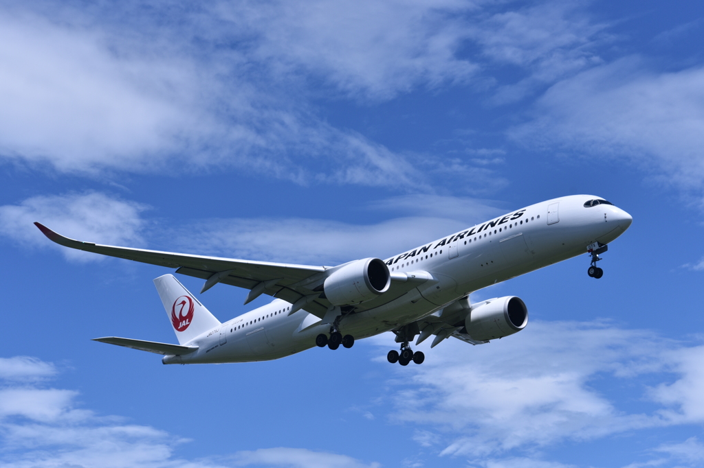 JAL 709