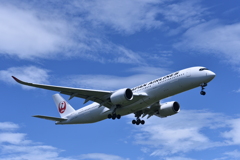 JAL 709
