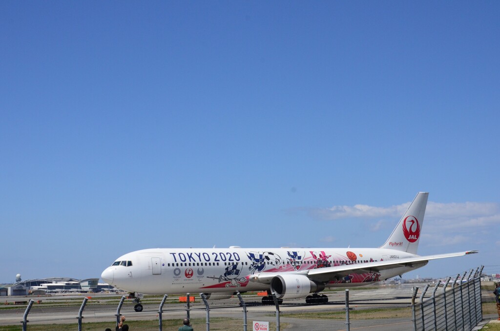 JAL 334  （特別塗装機）