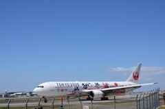 JAL 334  （特別塗装機）