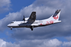 JAL 789