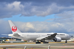 JAL 393