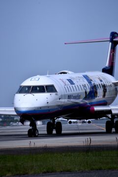 ANA 513