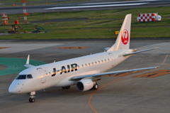 JAL 113