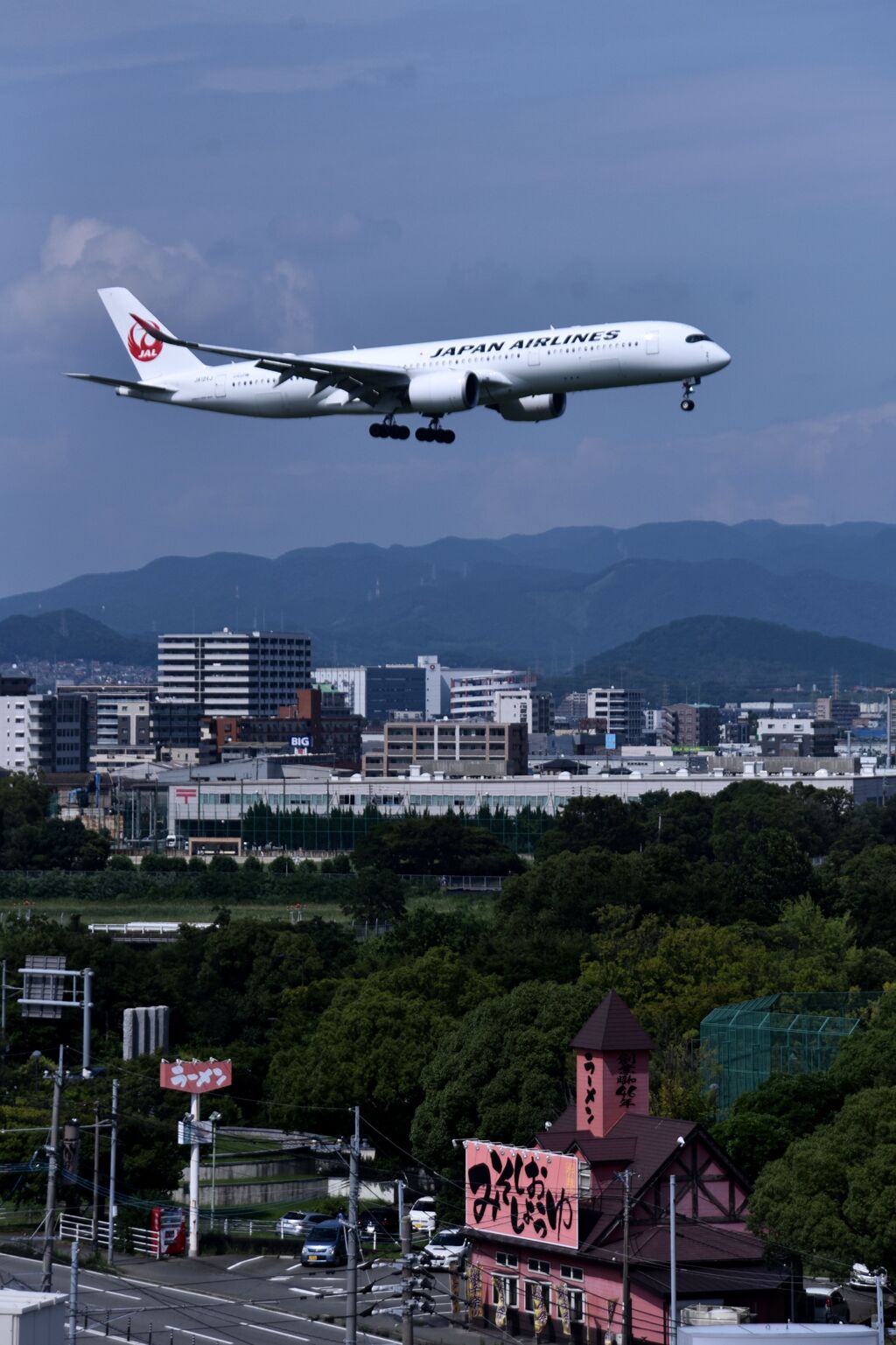 JAL 990