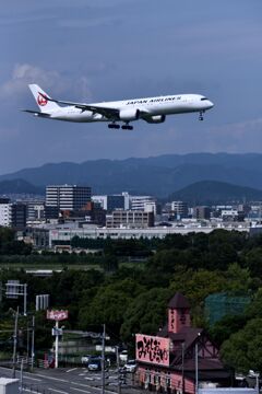 JAL 990