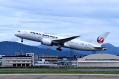 JAL 661
