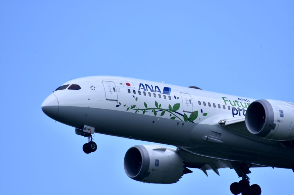 ANA 958
