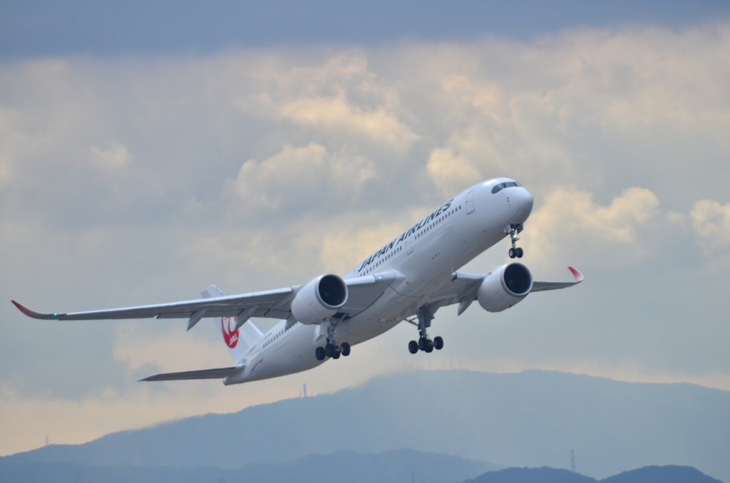 JAL 610