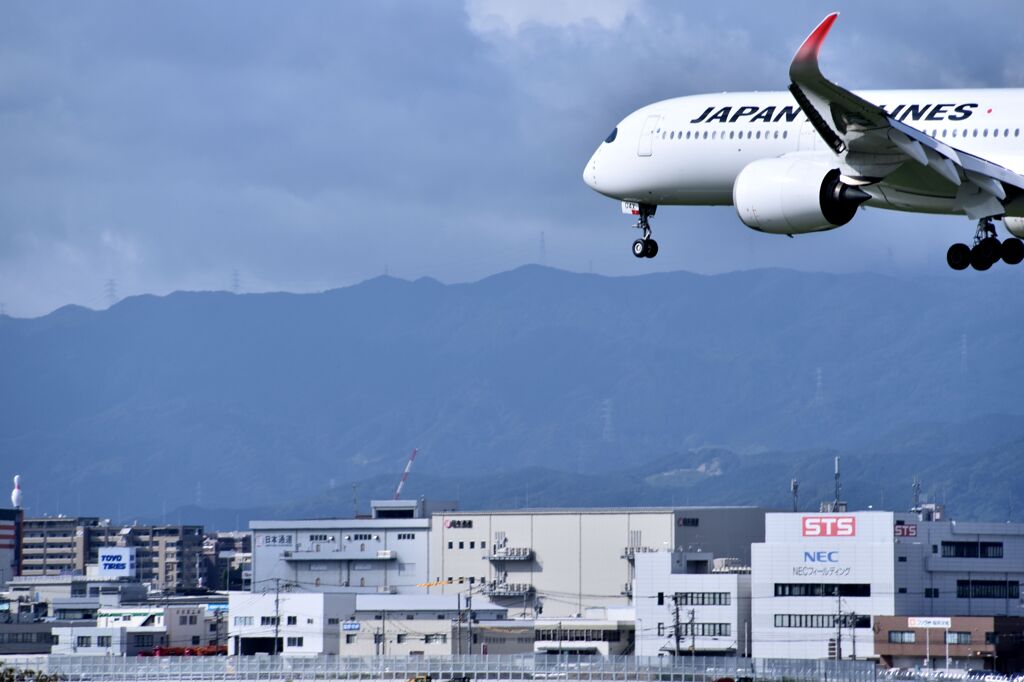 JAL 704