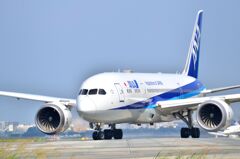 ANA 442