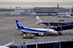 忘れな草　139   「ANA 995 セントレア」 
